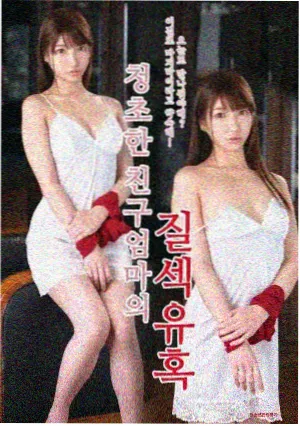 长媳家族群像小说封面